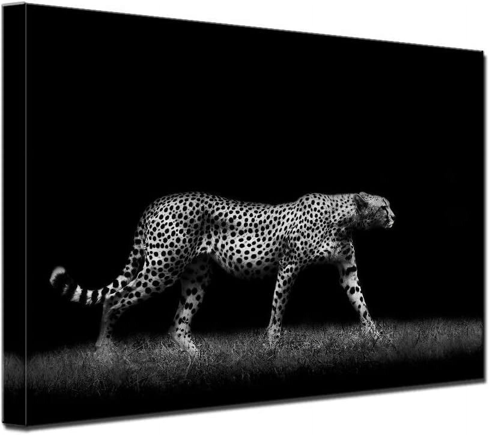 Black and White Hunting Cheetah Picture Wild Animal Wall Decor Artwork