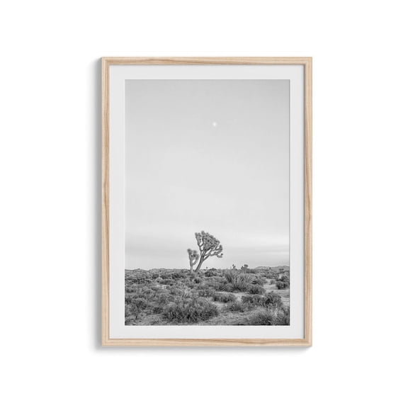 Black and White Joshua Tree National Park Wall Art - Desert Fine Art Photography Print, California Sunset Artwork for ., Poster Only