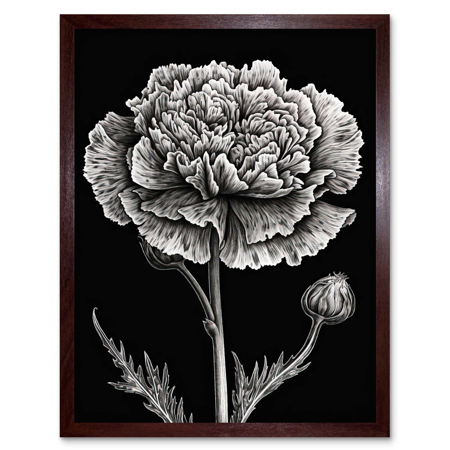 Carnation Flower Art Print