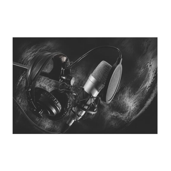 Black and White Microphone Concert Hall Music Canvas Wall Art for Home Music Room Decor 12*18in