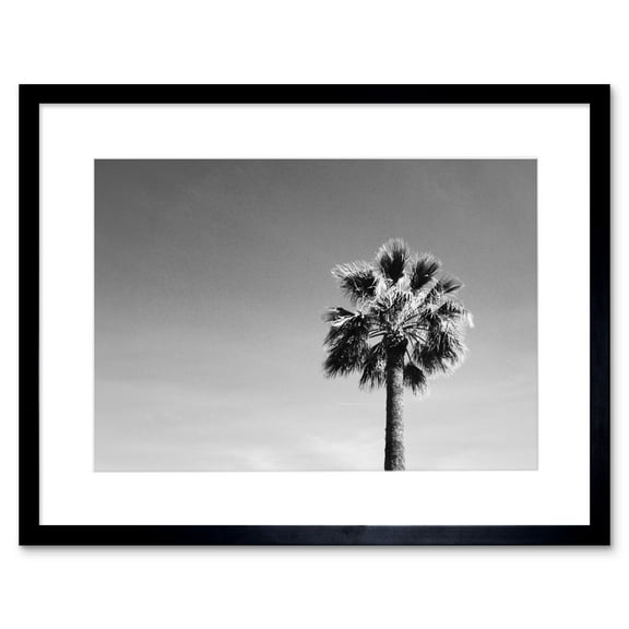 Black and White Palm Tree Art Print Black Framed Poster Wall Decor 9x7 inch