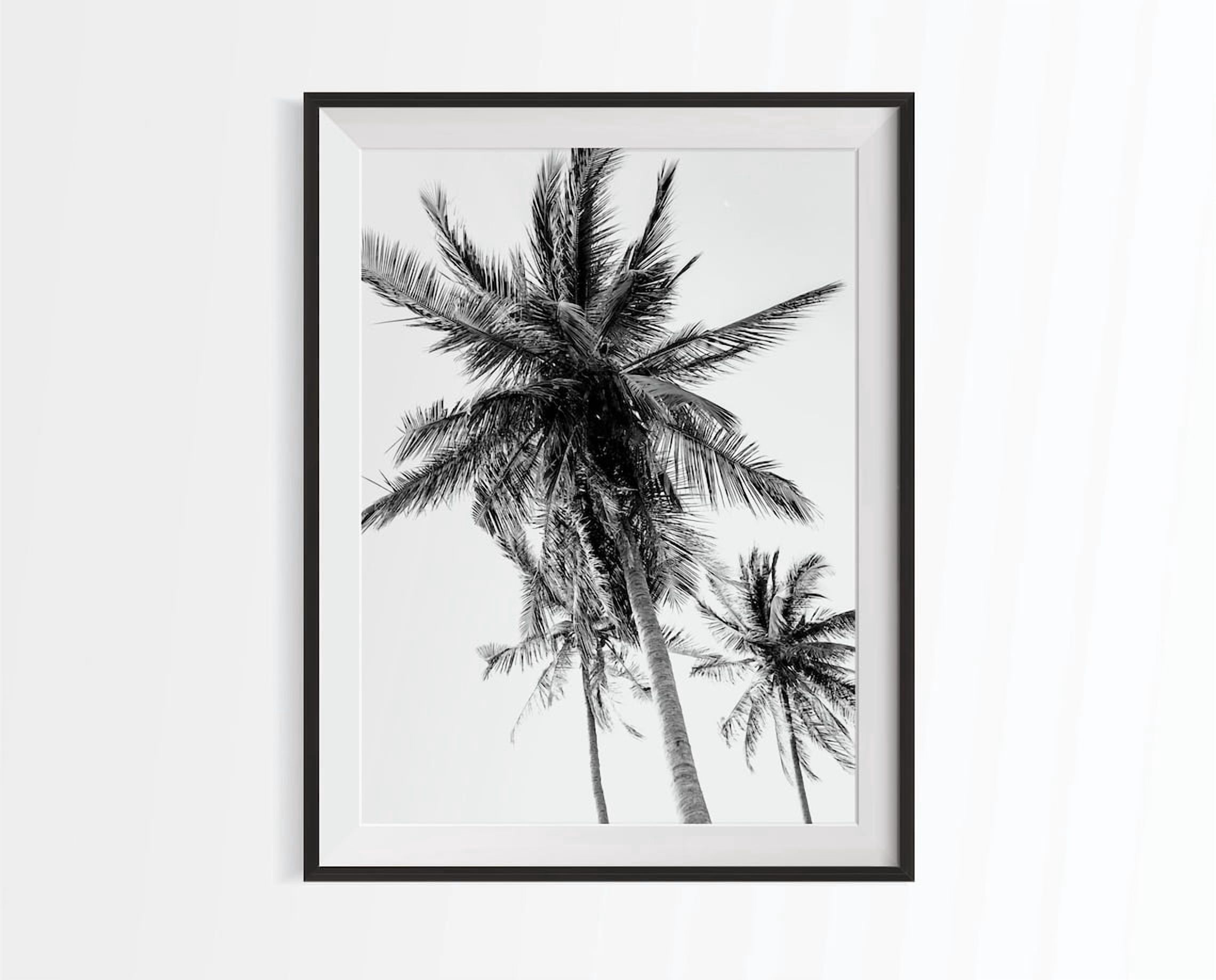 Black and White Palm tree photography Poster bw beach tropical wall art ...