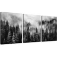 thumbnail image 1 of Black and White Pictures for Wall,Abstract Canvas Wall Art for Living Room,3 Piece Wall Art Bedroom Unframed, 1 of 6