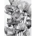 thumbnail image 1 of Black and White Poppy Line Art Canvas Print, Suitable for Living Room, Bedroom, Dining Room, Hallway, Office, Studio, 1 of 8
