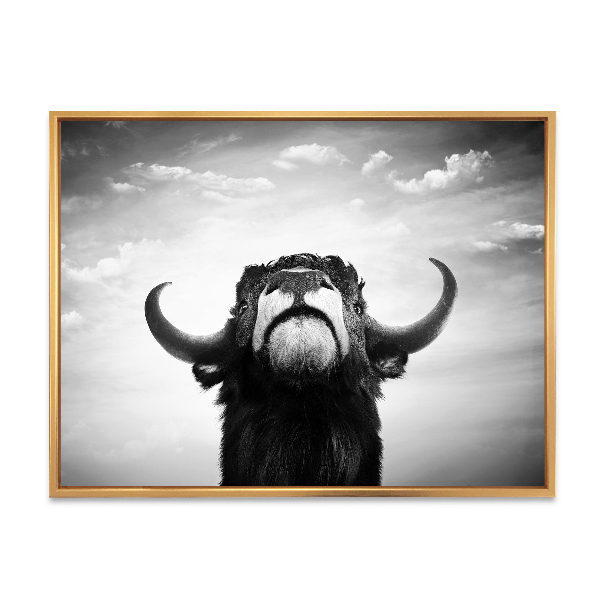 Black and White Portrait Of A Spanish Bull I 40 in x 30 in Framed Photography Canvas Art Print, by Designart