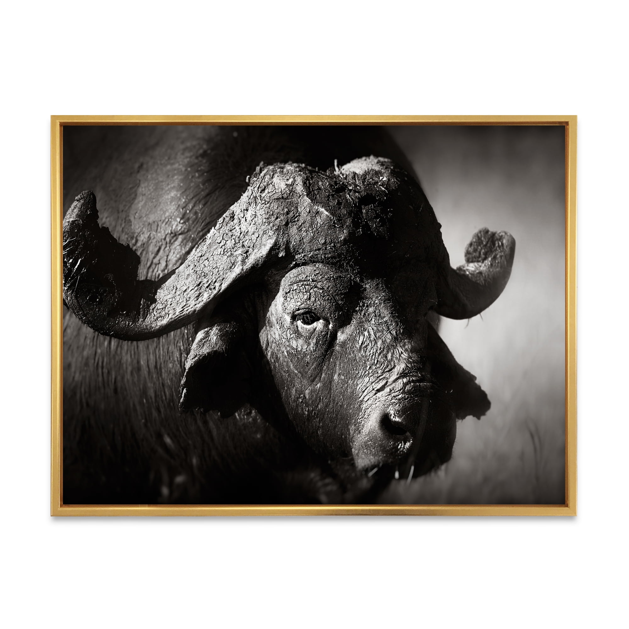 Black and White Portrait Of Buffalo II 20 in x 12 in Framed Photography Canvas Art Print, by Designart
