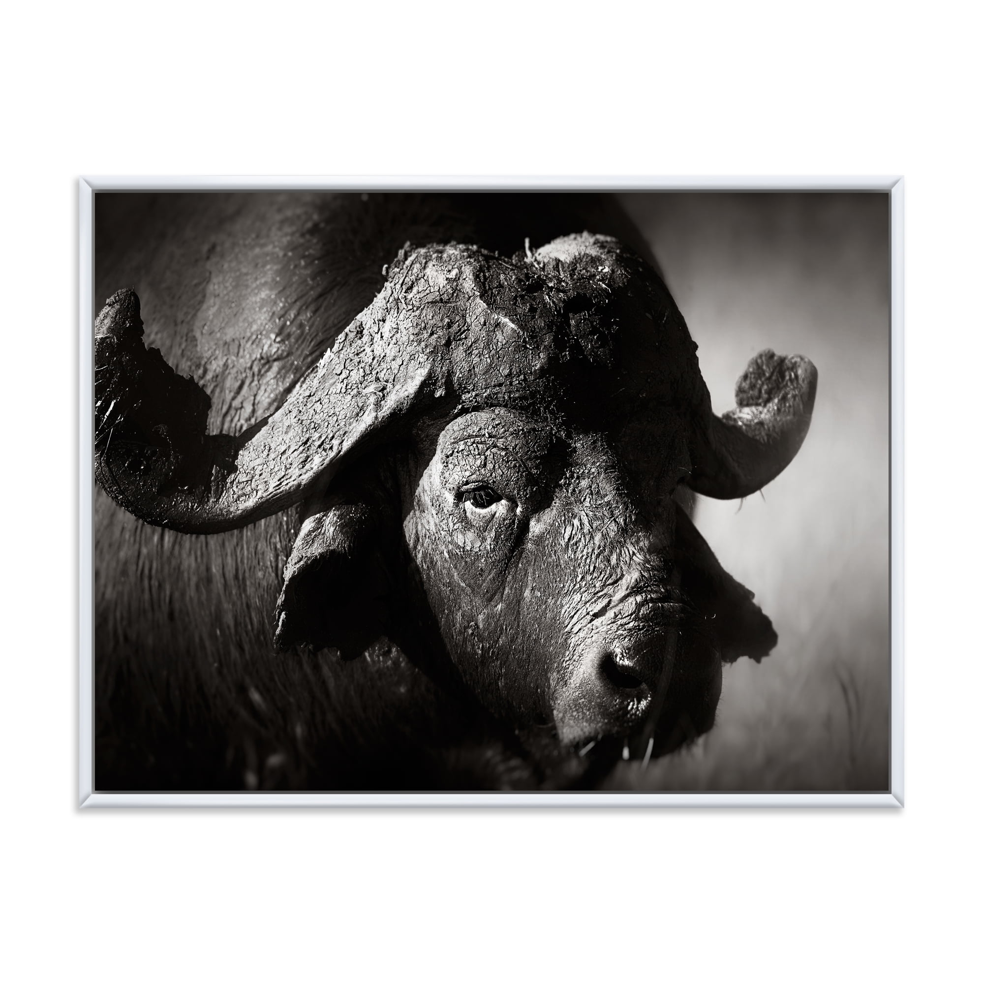 Black and White Portrait Of Buffalo II 32 in x 24 in Framed Painting Canvas Art Print, by Designart