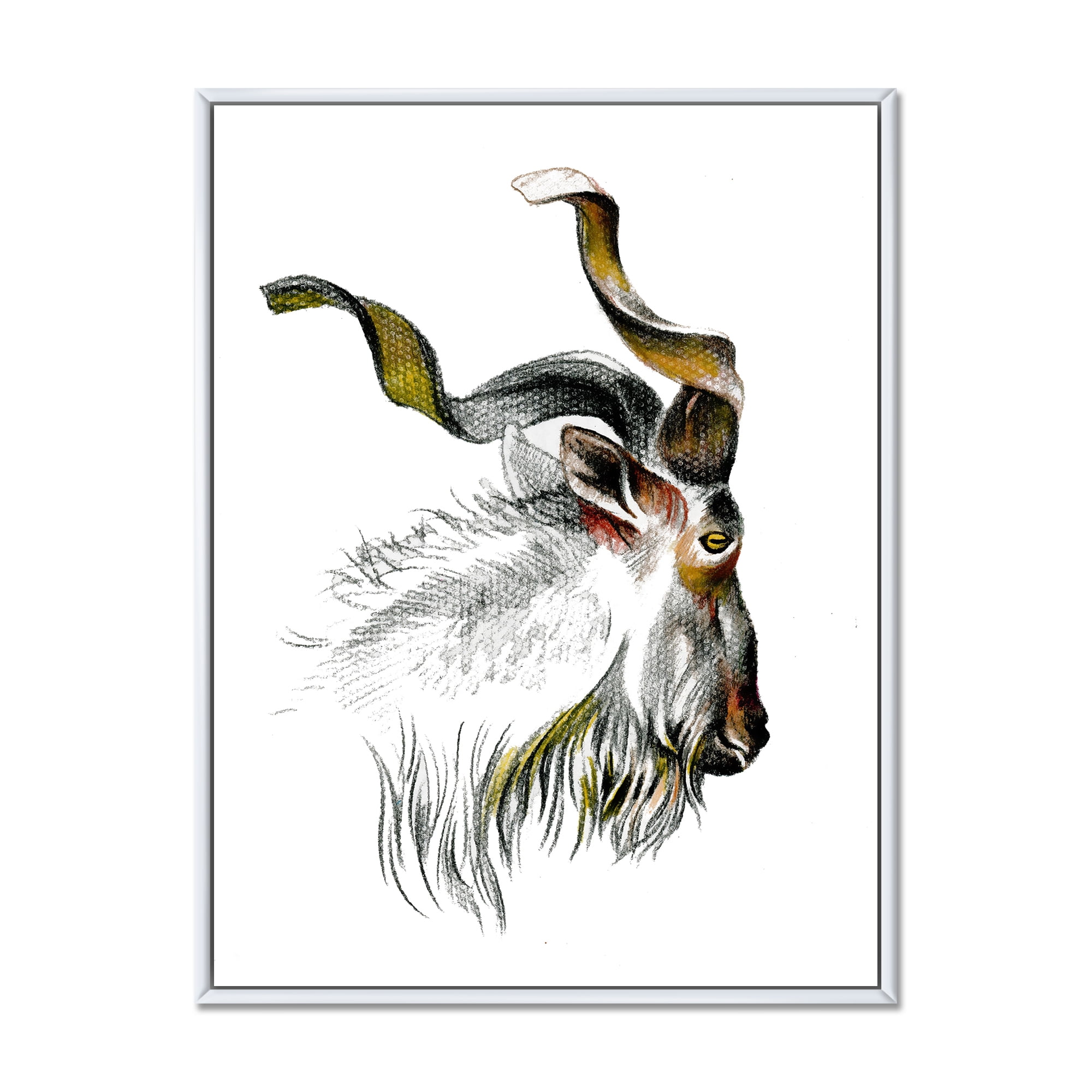Black and White Portrait Of Goat II 30 in x 40 in Framed Painting Canvas Art Print, by Designart