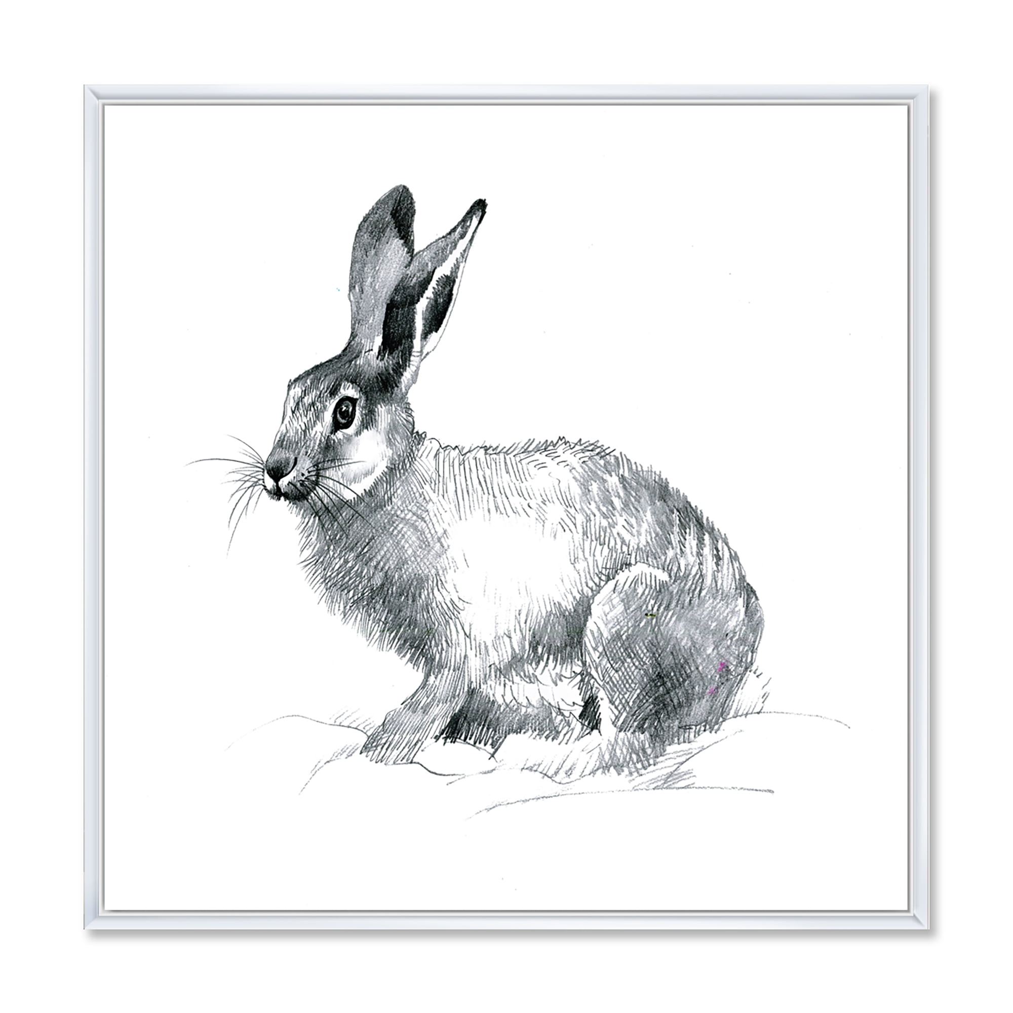 Black and White Portrait Of Rabbit 16 in x 16 in Framed Photography Canvas Art Print, by Designart