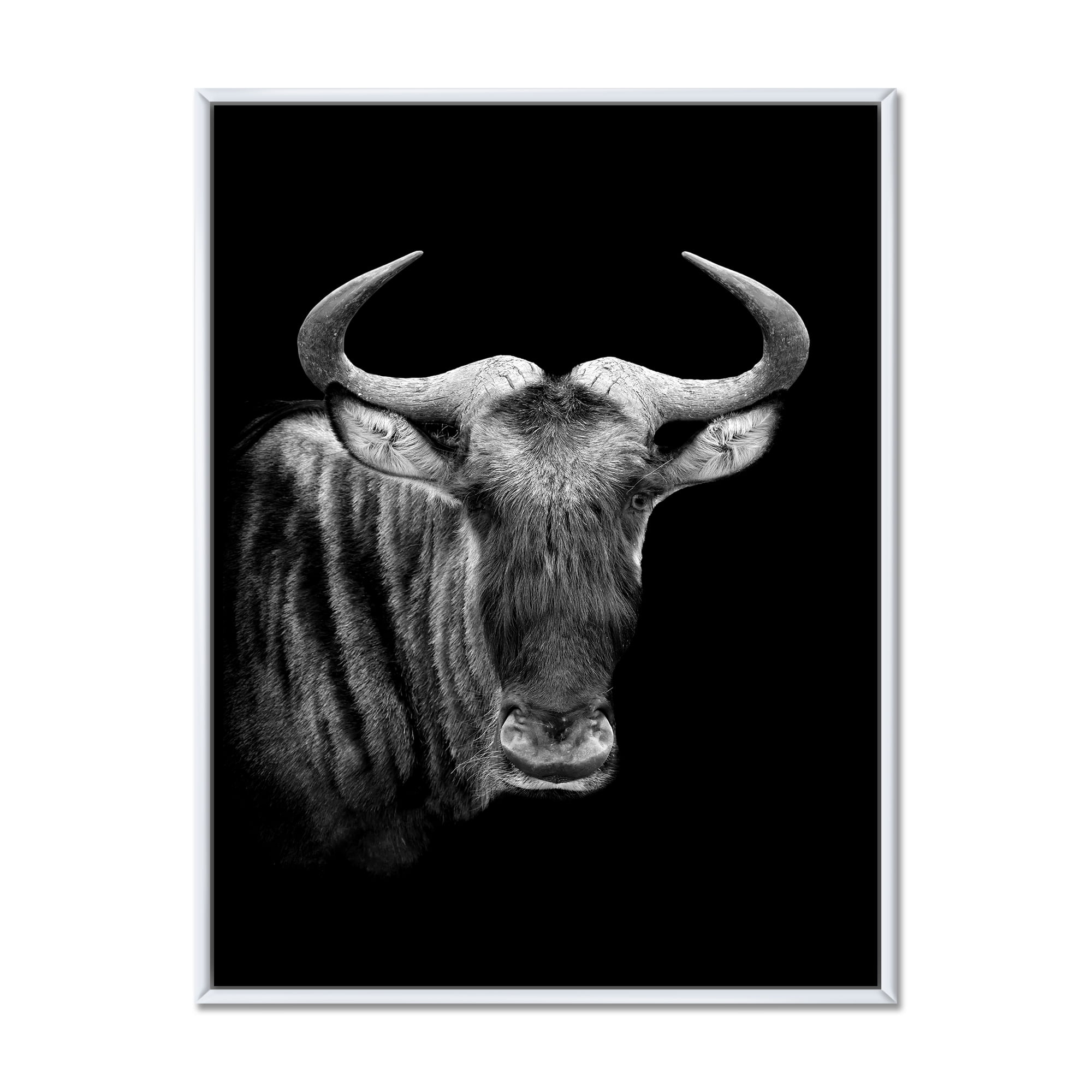 Black and White Portrait Of Wildebeest 12" x 20" Framed Photography Canvas Art Print, by Designart