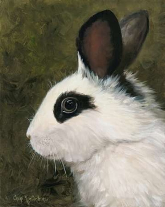 Black and White Rabbit Canvas Art - Cheri Wollenberg (22 x 28)