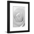 thumbnail image 1 of Black and White Rose Abstract, Botanical Framed Art Print Wall Art by Anna Miller Sold by Art.Com, 1 of 6