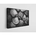 thumbnail image 1 of Black and White Sea Shells Canvas Wall Art - High-Quality Coastal Print - Handcrafted Modern Decor - Stylish Wall Art - Gift for Home or Office, 1 of 7