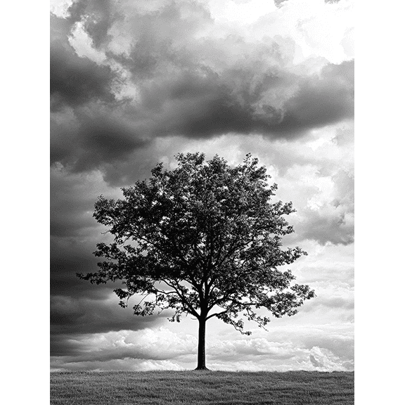 Black and White Single Tree Canvas Art Print Perfect for Living Room Bedroom Office Hallway and Apartment Decoration.