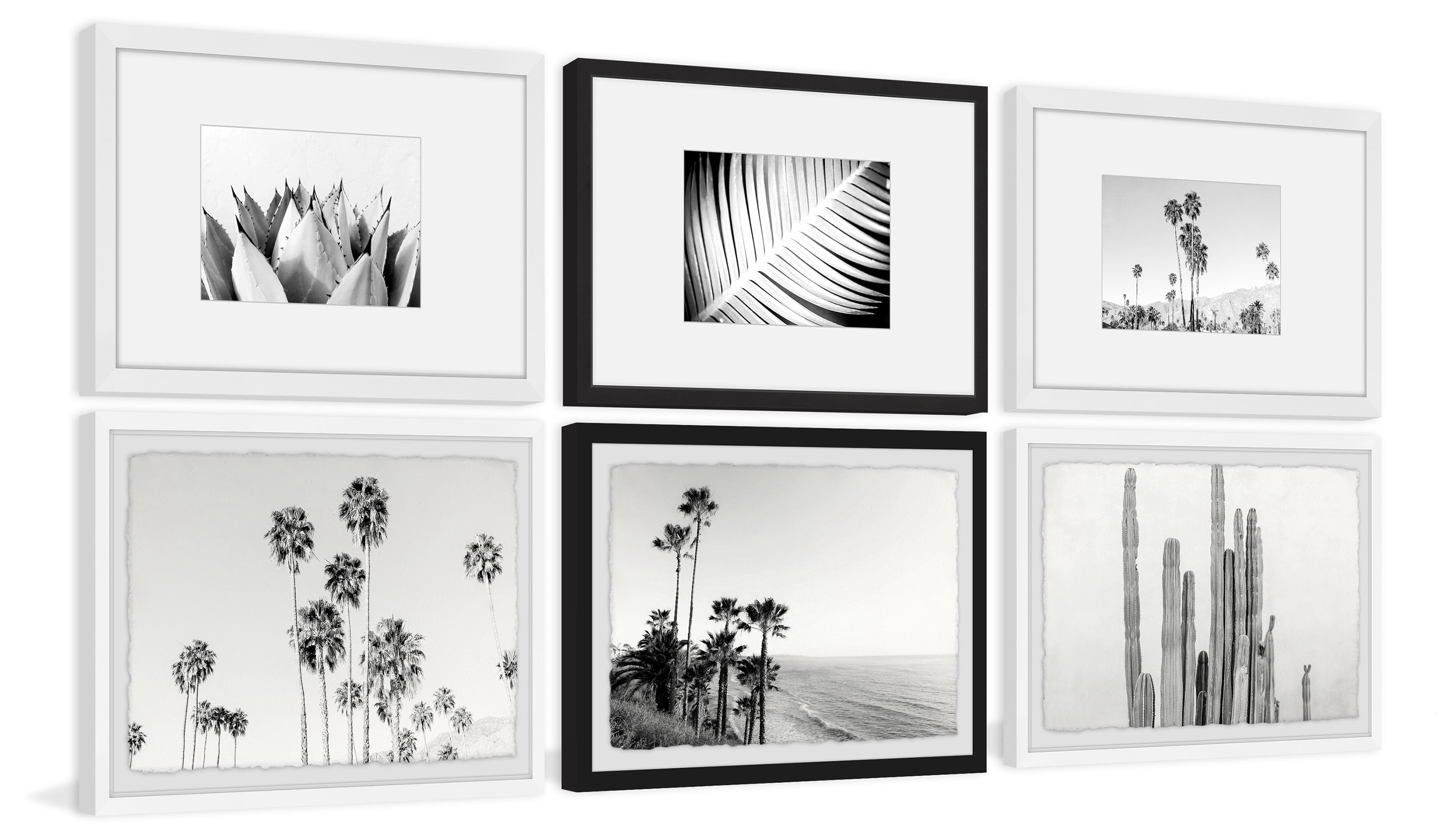 Black and White Summer Hexaptych