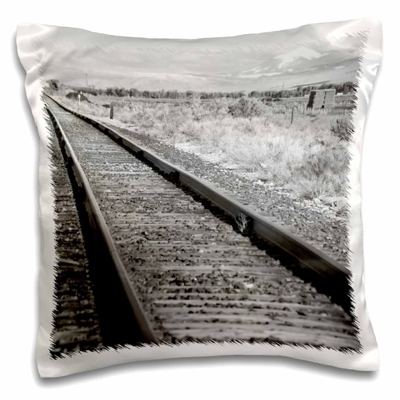 3dRose, Black and White Train Tracks going through Ogden Utah, 16x16 inch Pillow Case