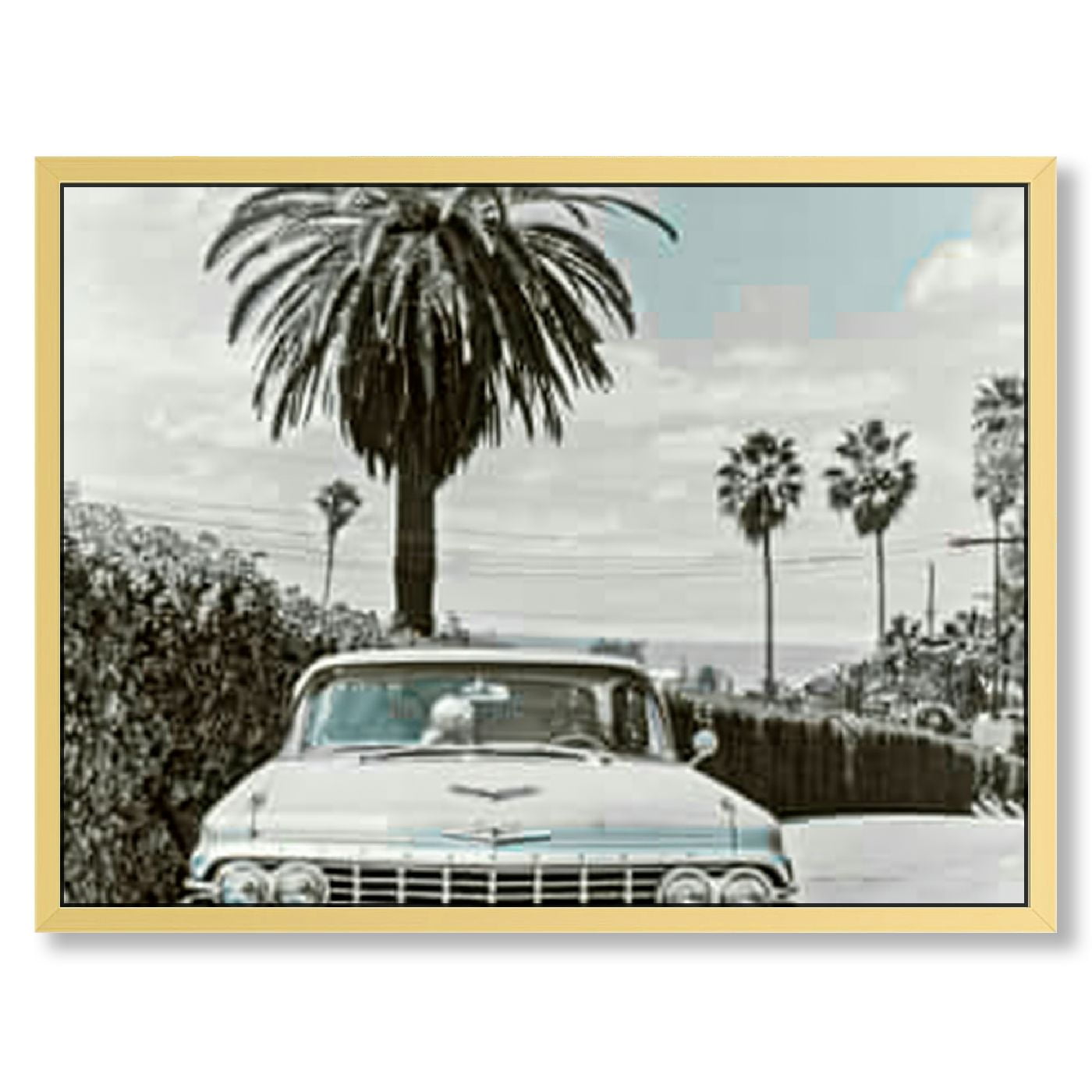 Vintage Black and White Framed Car Canvas Art
