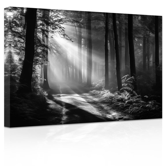 Black and White Wall Art, Large Tree Forest Landscape Framed Canvas Print, Modern Nature Artwork for Living Room, Bedroom, Office