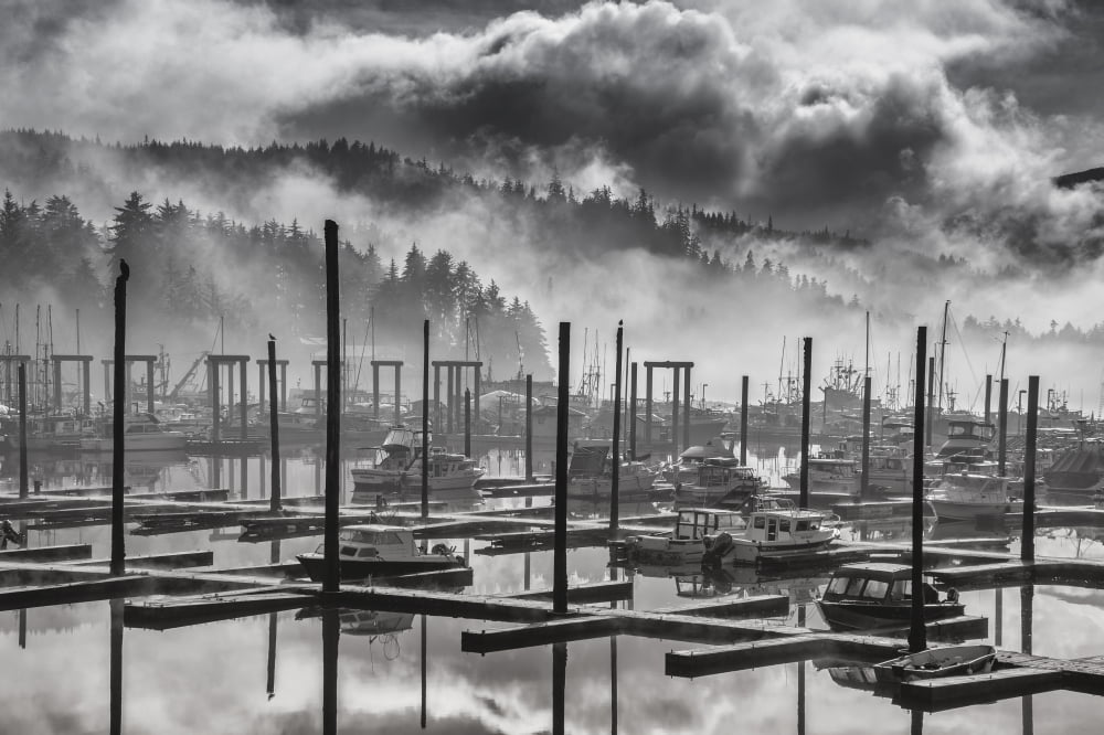 Black and White view of fog and mist lifting over Auke Bay Harbor Juneau Southeast Alaska Canvas Art - John Hyde Design Pics (19 x 12)