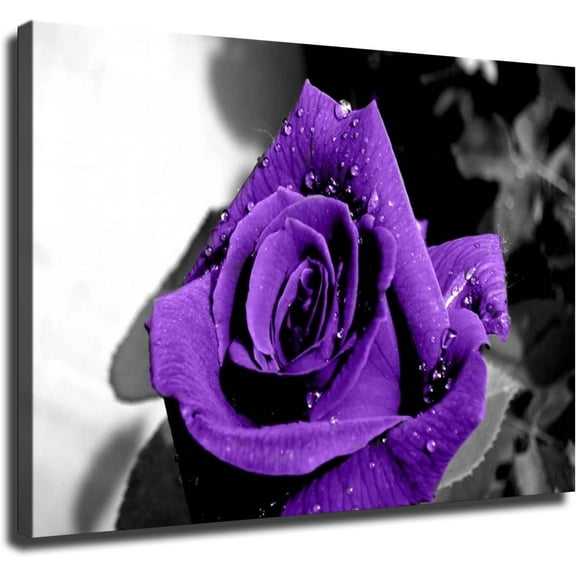 Black and White with A Purple Rose Poster Picture HD Wall Art Canvas Print Aesthetic Artwork for Bedroom Living Room Decor (Unframed,12x16inch)