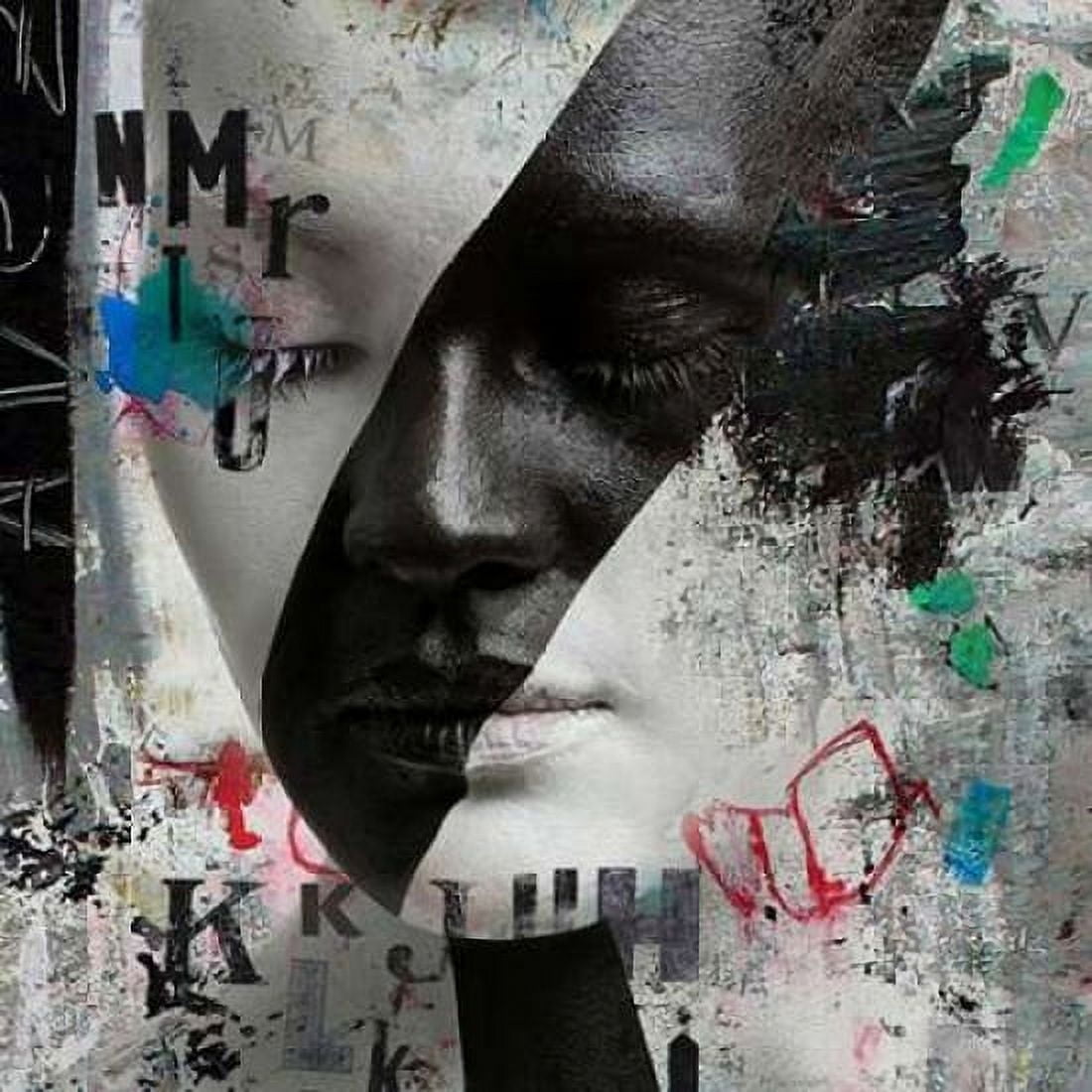 Black beauty Canvas Art - Micha Baker (24 x 24)