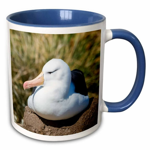 Black-browed albatross or black-browed mollymawk, Falkland Islands 15oz Two-Tone Blue Mug mug-330852-11