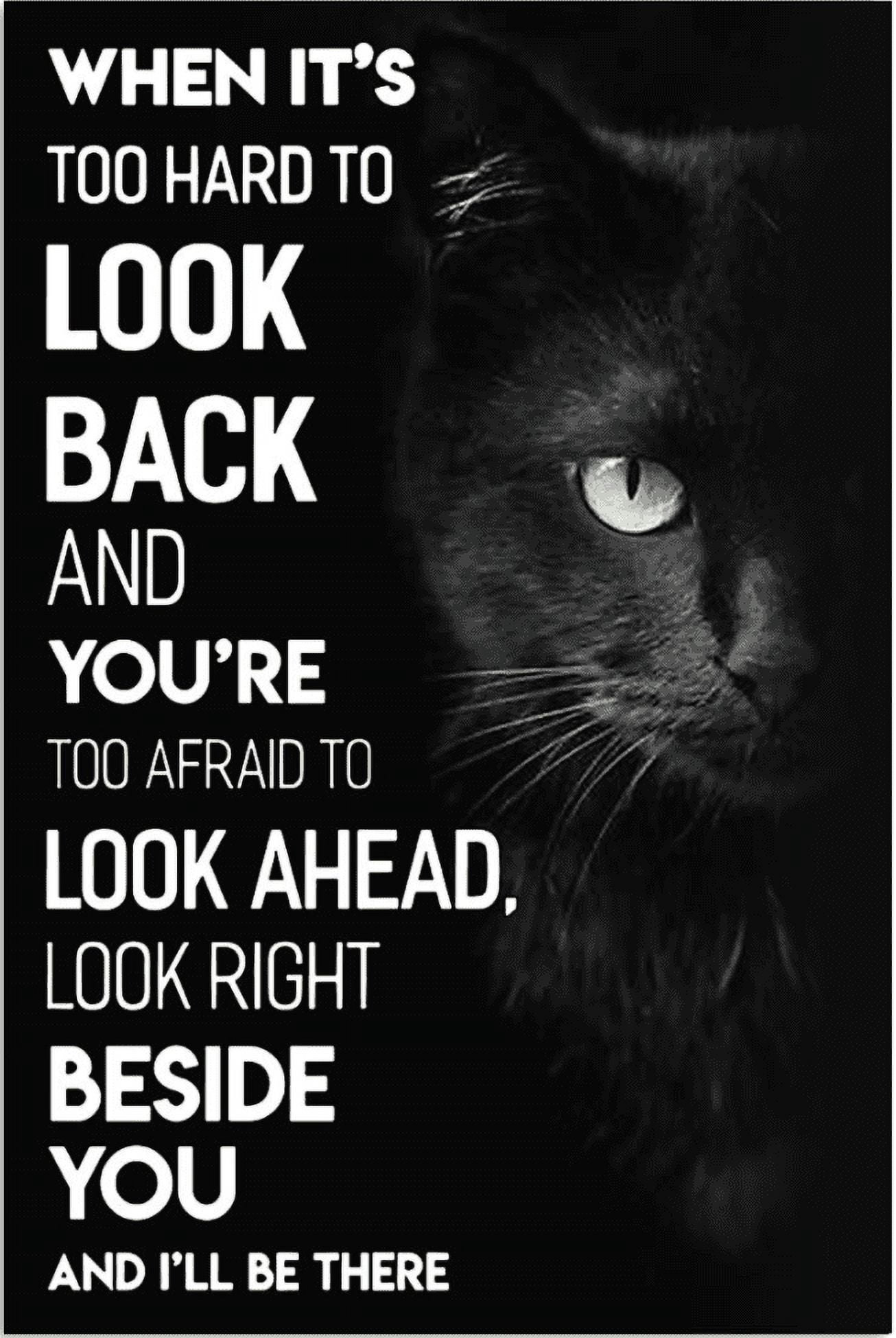 Black cat when it's too hard to look back and you're too afraid to look ...