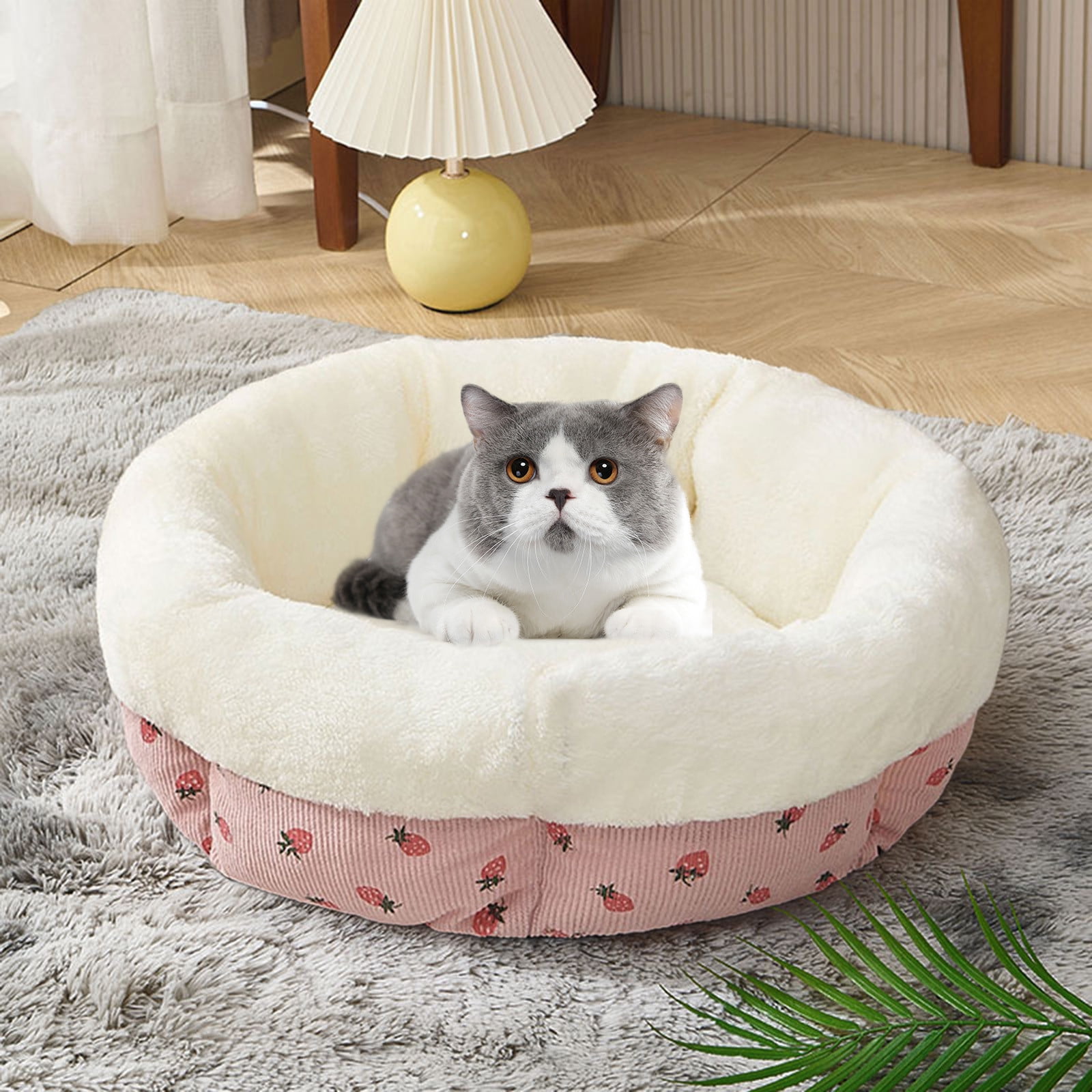 Black Friday Deals On Dog Kennels Black&friday Deals 2024,Cyber&Monday Deals 2024,Round Cats Kennel