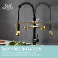 Black and gold kitchen faucet. Panel, hose. Telescopic, liftable