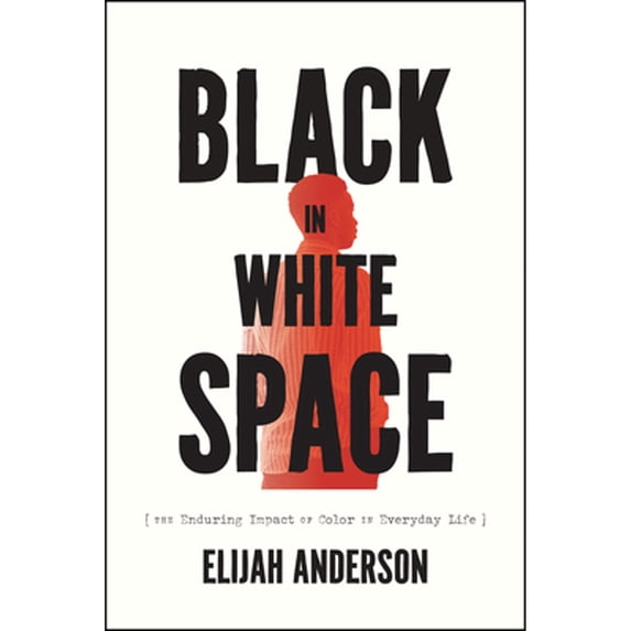 Pre-Owned Black in White Space: The Enduring Impact of Color in Everyday Life (Paperback) 0226826414 9780226826417