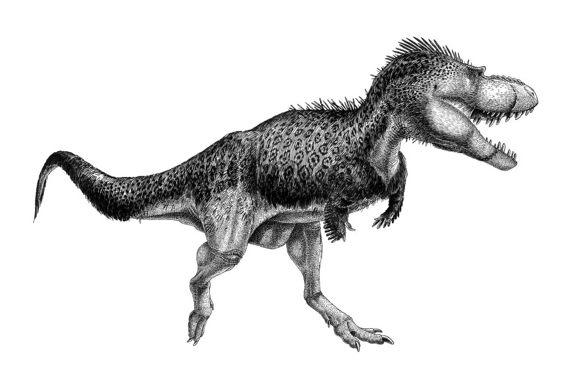 Black ink drawing of Albertosaurus sarcophagus Canvas Art - Vladimir NikolovStocktrek Images (18 x 12)