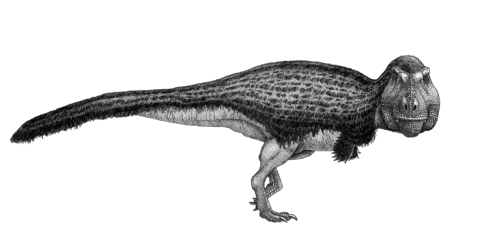 Black ink drawing of Tyrannosaurus rex Canvas Art - Vladimir NikolovStocktrek Images (20 x 10)