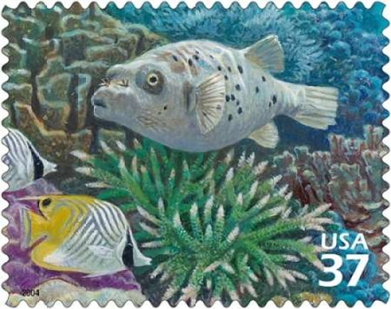 Black-spotted Puffer Canvas Art - US POSTAL SERVICE (24 x 30)