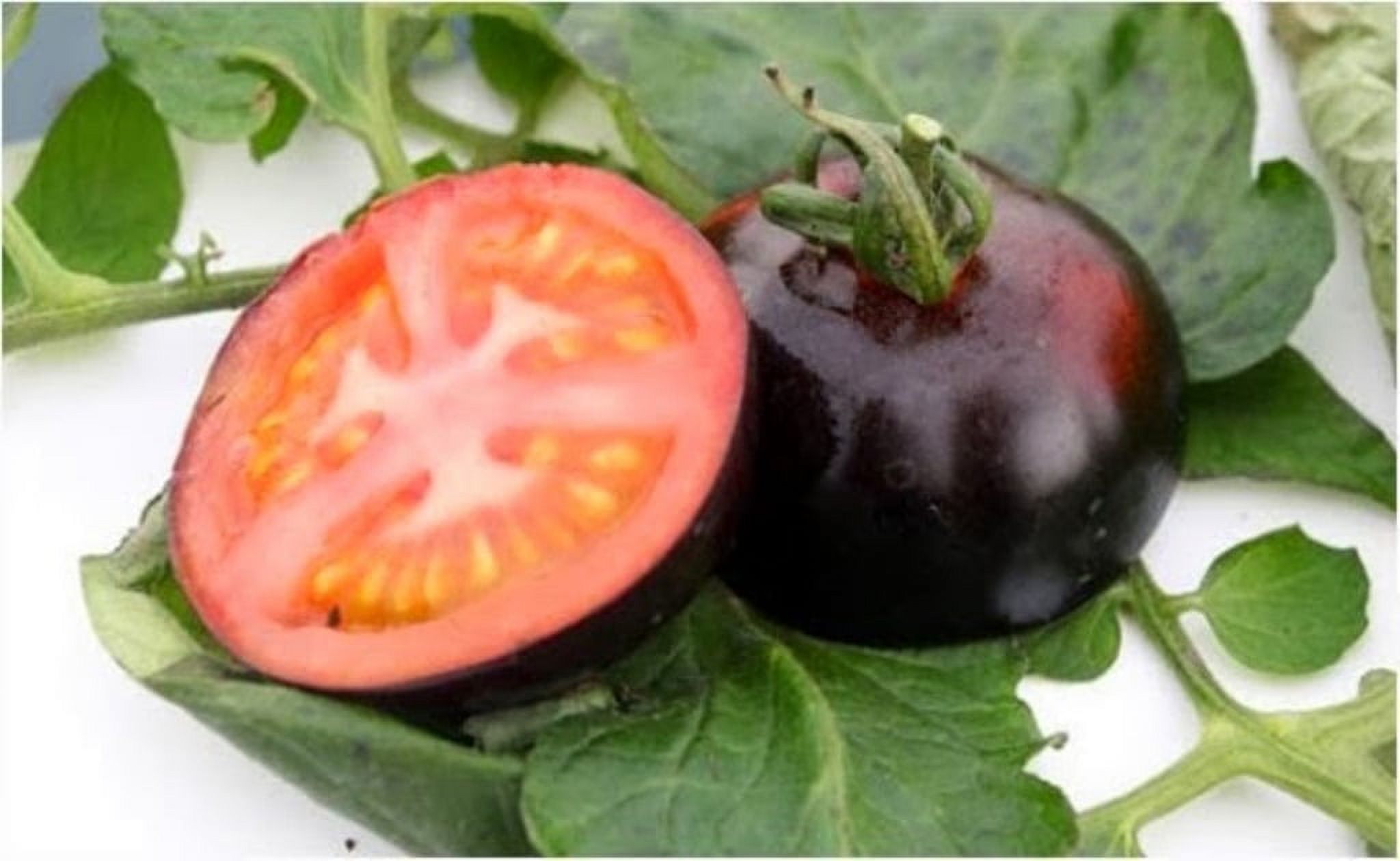 Black tomatoes. 20 kumato tomato Seeds Slicing tomato SPANISH Heirloom
