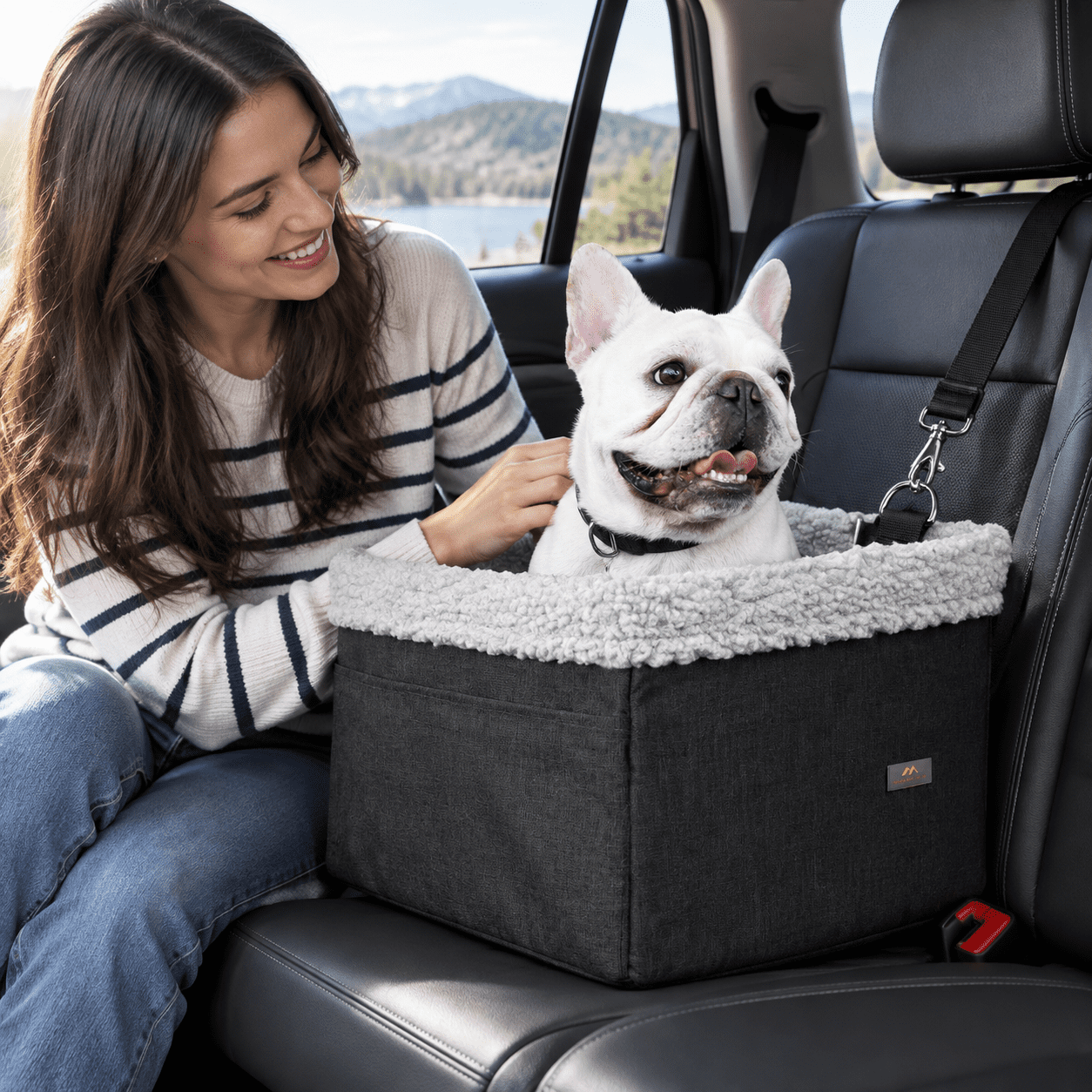 Black-with grey Line Large - Up to 20 lbs Pet Booster Seat for Small ...