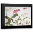 thumbnail image 1 of Blackadder, Elizabeth 14x11 Black Modern Framed Museum Art Print Titled - Orchid Studies, 1 of 5
