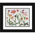 thumbnail image 1 of Blackadder, Elizabeth 24x19 Black Ornate Wood Framed with Double Matting Museum Art Print Titled - Tulips, 1 of 4