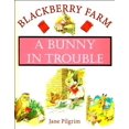 thumbnail image 1 of Pre-Owned Blackberry Farm: a Bunny in Trouble (Blackberry Farm) (Hardcover) 1841860387 9781841860381, 1 of 1