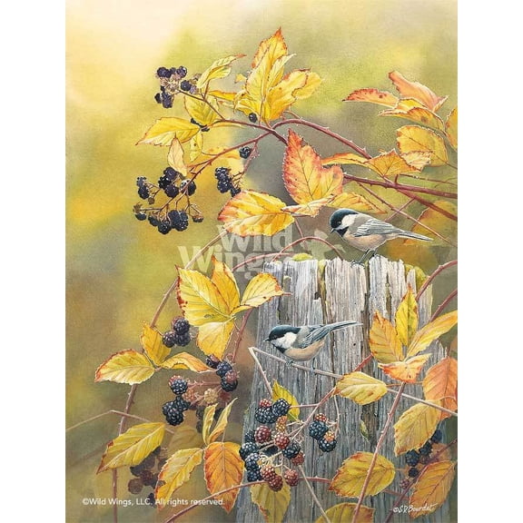 Blackberry HavenChickadees