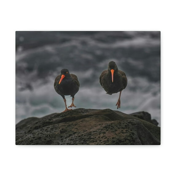 Blackbird Couple Blackbird Troop Print Animal Wall Art Wildlife Canvas Prints Wall Art Ready to Hang Unframed