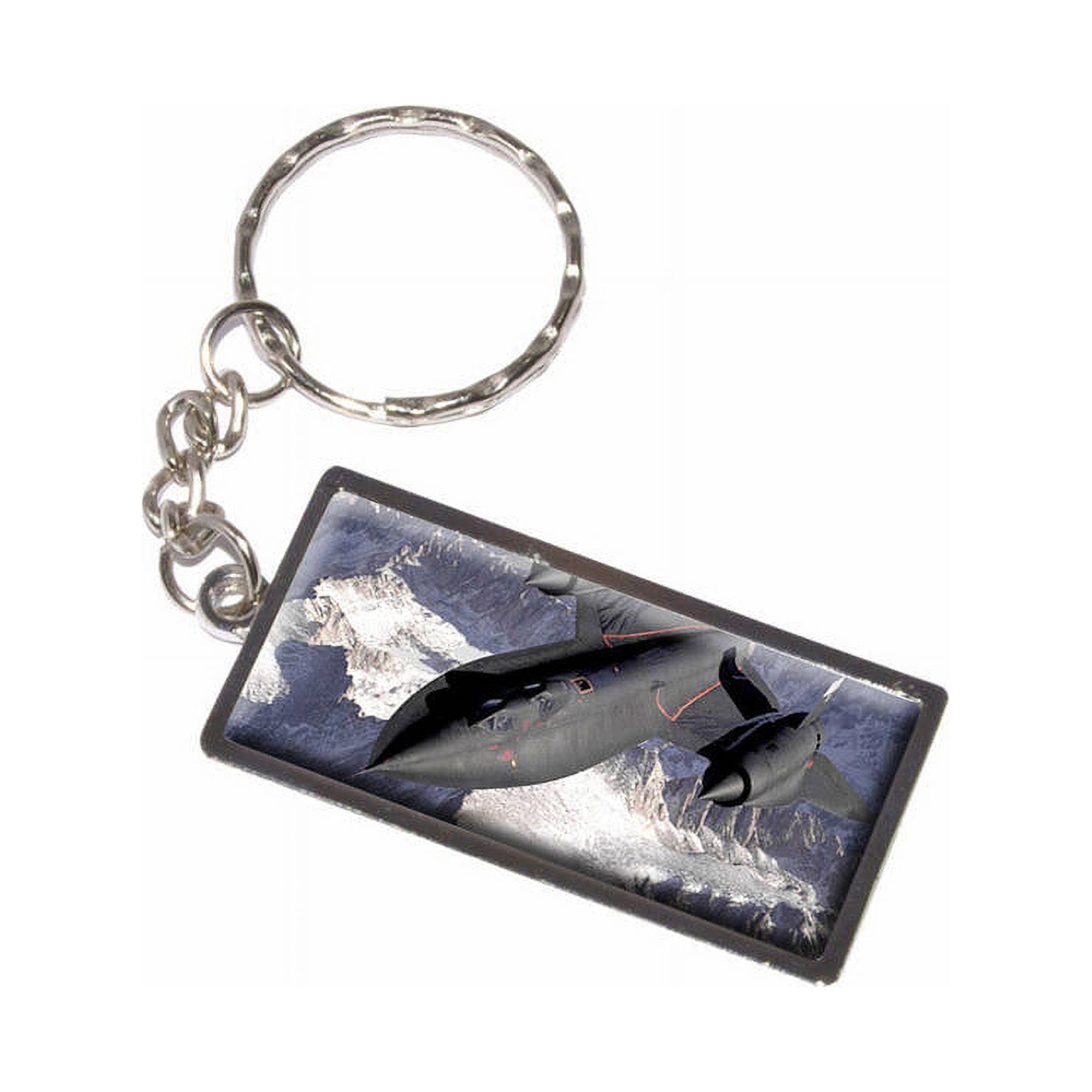 Blackbird Key Ring