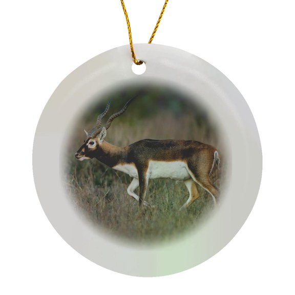 3drose, Blackbuck, Antelope Cervicapra Exotic Animal in Texas Habitat, Circle Porcelain Ornament