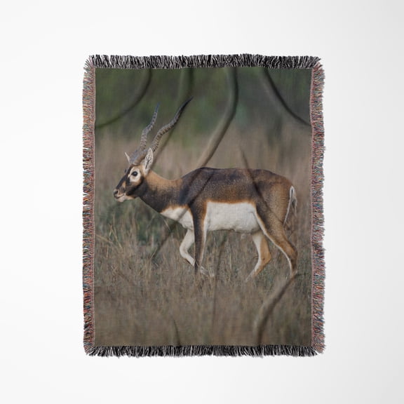Blackbuck, Antelope Cervicapra Exotic Animal In Texas Habitat, Woven Blanket