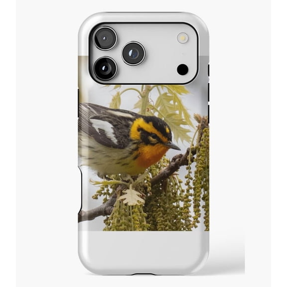 Blackburnian Warbler M1563, Protective Case for iPhone 17 16 15 14 13 12 11 Pro Max – Modern Unisex Style
