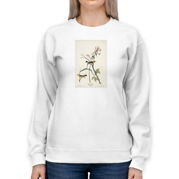 Blackburnian Warbler Sweatshirt Women -John James Audubon Designs, Female 3X-Large