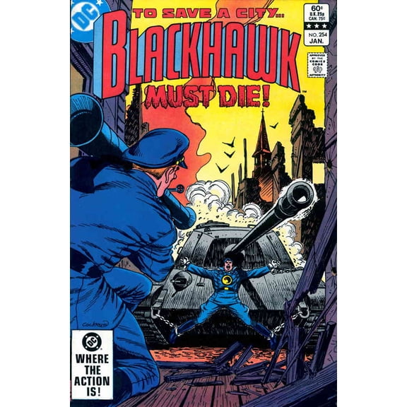 Blackhawk (1st Series) #254 VF ; DC Comic Book