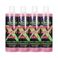 thumbnail image 1 of Blackhawk Performance Boat Wash X Wax - Gently Removes All Dirt & Grime - Non-Yellowing Wax Leaves Shiny Finish While Protecting All Paints & Clear Coats - Marine Safe - Made in USA (16oz, 4 Pack), 1 of 5