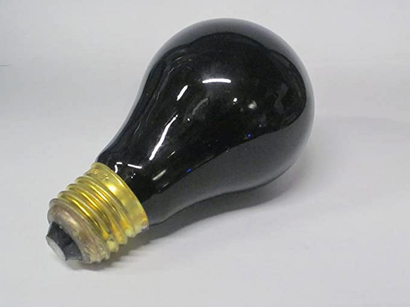 Blacklight 75 Watt Bulb 2 Pack