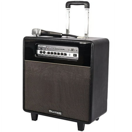 Blackmore - 10" 1400W PA Speaker - Black