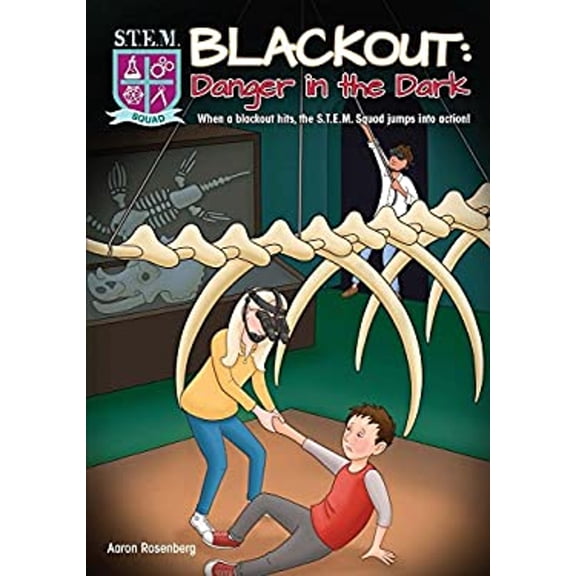 Pre-Owned Blackout: Danger in the Dark (Paperback) 1438009216 9781438009216